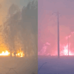 Peste 25 de hectare de stuf, tufișuri și vegetație deshidratată, mistuite de flăcări în inima Deltei Dunării 3 aproape 25 de hectare de stuf liziera si vegetatie uscata incendiate in delta dunarii 68a95b284ffef