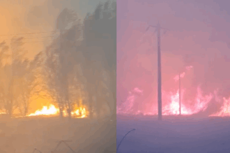 aproape 25 de hectare de stuf liziera si vegetatie uscata incendiate in delta dunarii 68a95b284ffef
