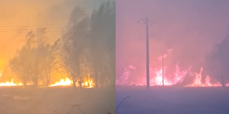 Peste 25 de hectare de stuf, tufișuri și vegetație deshidratată, mistuite de flăcări în inima Deltei Dunării 1 aproape 25 de hectare de stuf liziera si vegetatie uscata incendiate in delta dunarii 68a95b284ffef