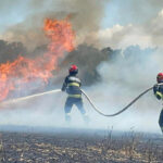 Incendiu în Gârliciu: Pompierii luptă cu flăcările care mistuie vegetația uscată! 3 arde vegetatia uscata din garliciu pompierii intervin pentru stingerea lui chiar in aceste momente 6899f589686da