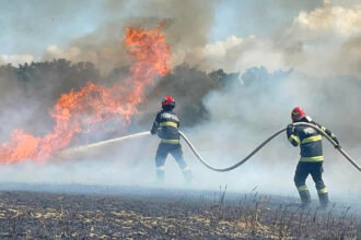 arde vegetatia uscata din garliciu pompierii intervin pentru stingerea lui chiar in aceste momente 6899f589686da