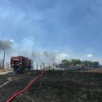 Flăcări pe câmpie între Nazarcea și Ovidiu: pompierii mobilizați cu trei mașini de intervenție! 2 arde vegetatia uscata la iesirea din nazarcea spre ovidiu pompierii intervin cu trei autospeciale 68b1b3d840cda