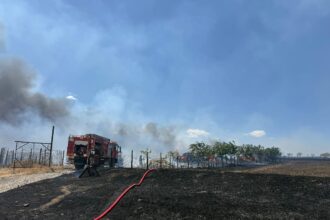 arde vegetatia uscata la iesirea din nazarcea spre ovidiu pompierii intervin cu trei autospeciale 68b1b3d840cda