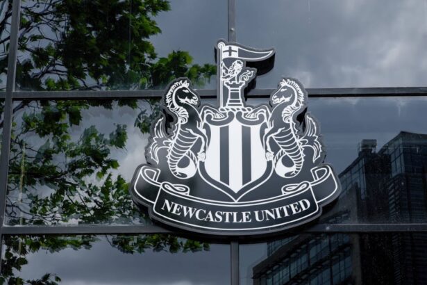 bogatii de la newcastle mai fac un transfer premier league se vede pe voyo incepand cu 15 august 6897a6842c4e3