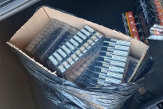 captura record in portul constanta peste 15 milioane de tigarete ascunse intr un container cu marfa declarata fals 689d673e5e1d3