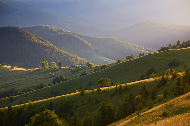 Casa-gradina.ro - O escapadă de neuitat în Serbia: aventură în spectaculoșii munți Tara și Zlatibor 1 casa gradina ro vacanta in serbia excursie in muntii tara si zlatibor 6895969123907