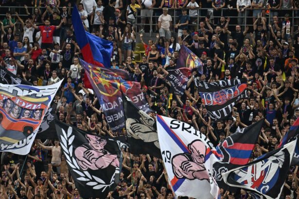 cat costa un bilet la vip pentru meciul fcsb drita si cati suporteri sunt asteptati joi partida e in direct la pro tv si pe voyo 6892f3bf6896e