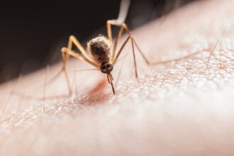 cazurile de covid se inmultesc in bulgaria dar boala nu dezvolta simptome grave chikungunya o boala transmisa de tantarii tigru a inceput sa fie detecatata in mai multe tari europene inclusiv in r 68a3082cc14e5