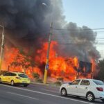 Povestea incendiului devastator din Mamaia, în cuvintele polițiștilor de la IPJ Constanța 3 ce spun politistii ipj constanta despre incendiul violent din statiunea mamaia 689589a4807ce