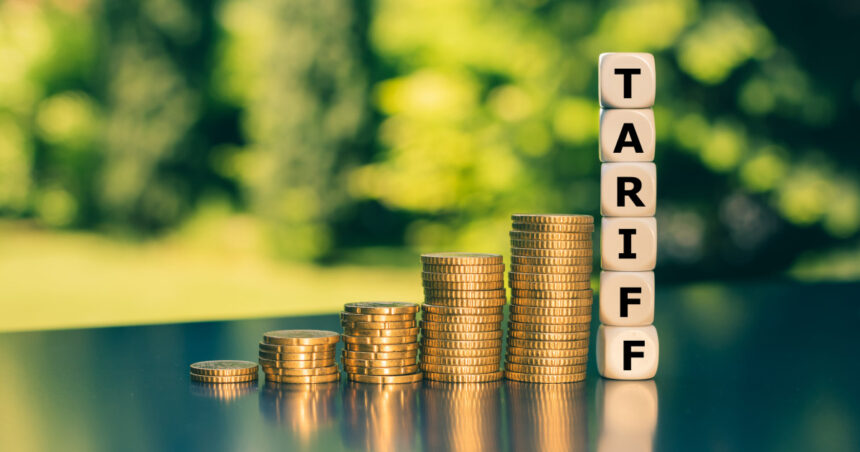cea mai mare economie a europei afectata de inflatie si somaj pe fondul tarifelor vamale anuntate de sua 68b2a3cce3354