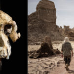 Noua descoperire a cercetătorilor: o specie de hominizi care poate transforma înțelegerea evoluției umane! 2 cercetatorii au descoperit o noua specie de hominizi care ar putea schimba povestea evolutiei omului 68a2b5b60ba32