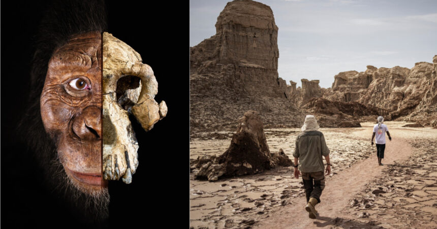Noua descoperire a cercetătorilor: o specie de hominizi care poate transforma înțelegerea evoluției umane! 1 cercetatorii au descoperit o noua specie de hominizi care ar putea schimba povestea evolutiei omului 68a2b5b60ba32