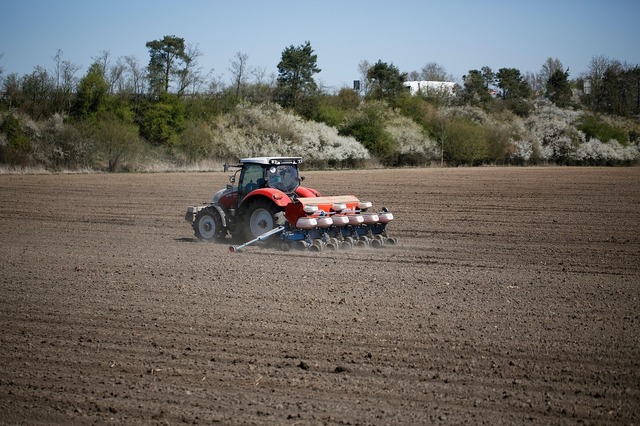 Consiliul Concurenței a demarat verificări la diverși furnizori de semințe și soluții pentru protecția plantelor 1 consiliul concurentei a efectuat inspectii la mai multi distribuitori de seminte de cultura si produse pentru protectia culturilor 689b149452eab
