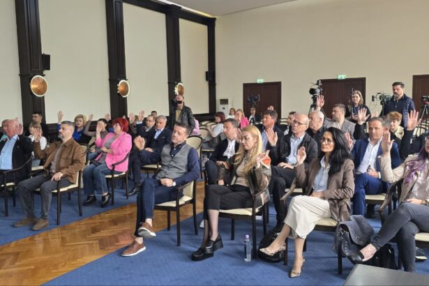 consiliul judetean constanta convocat in sedinta ordinara rectificarea bugetului spitalului judetean si al complexului muzeal de stiinte ale naturii pe ordinea de zi 68a4850f0211b