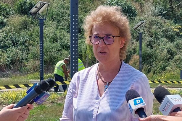 constanta este in insolventa felicia ovanesian a explicat motivele pentru care crede ca orasul este in faliment 689bcbd8f0cff