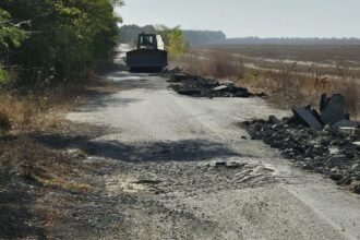 consultare de piata pentru modernizarea dj 392 tronsonul pecineaga amzacea pregatit pentru reabilitare 68953b01073c2