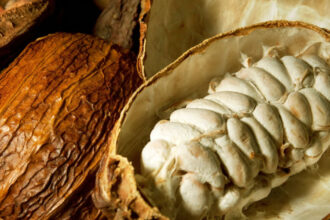criza industriei de ciocolata o noua metoda de productie ar putea folosi parti mai mari din fructul de cacao fara a afecta gustul 68ab15245fcd0