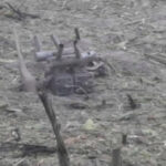 Originea dronei militare căzute în estul Poloniei: primele descoperiri ale anchetatorilor 2 de unde provenea drona militara prabusita in estul poloniei primele concluzii ale procurorilor 68a6fed271cc3