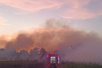 defasurare de forte in medgidia au fost trimise 5 masini de stingere ale pompierilor pentru un incendiu izbucnit pe strada triumfului 688e1445a9a5a