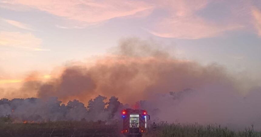 Mobilizare impresionantă în Medgidia! Cinci autospeciale de pompieri au intervenit pentru a stinge un incendiu pe strada Triumfului. 1 defasurare de forte in medgidia au fost trimise 5 masini de stingere ale pompierilor pentru un incendiu izbucnit pe strada triumfului 688e1445a9a5a