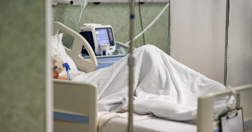 Alertă în Timiș: Două persoane infectate cu virusul West Nile, una în stare critică la terapie intensivă 1 doua cazuri de infectare cu virusul west nile in judetul timis unul dintre pacienti este in stare grava la ati 68b198abae3be