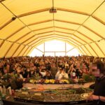 După ce cererea de suspendare a somației Primăriei pentru organizarea Sunwaves a fost refuzată la Constanța, solicitarea de anulare a fost transferată în capitală. 2 dupa respingerea la constanta a cererii de suspendare a somatiei primariei privind organizarea sunwaves cererea de anulare a fost mutata la bucuresti 688beb7d5e8fc