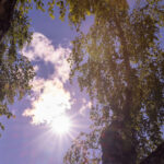 Prognoza vremii pentru următoarele patru săptămâni: August se încheie cu răcire surprinzătoare. Ce ne rezervă septembrie? 3 estimari meteo pe 4 saptamani final de august cu temperaturi mai scazute decat de obicei cum va fi vremea in septembrie 68a426e0d4476