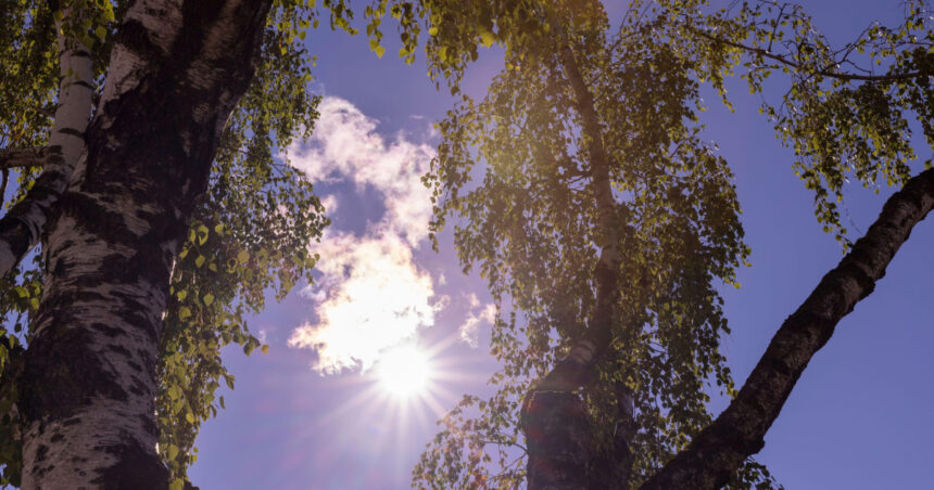 Prognoza vremii pentru următoarele patru săptămâni: August se încheie cu răcire surprinzătoare. Ce ne rezervă septembrie? 1 estimari meteo pe 4 saptamani final de august cu temperaturi mai scazute decat de obicei cum va fi vremea in septembrie 68a426e0d4476