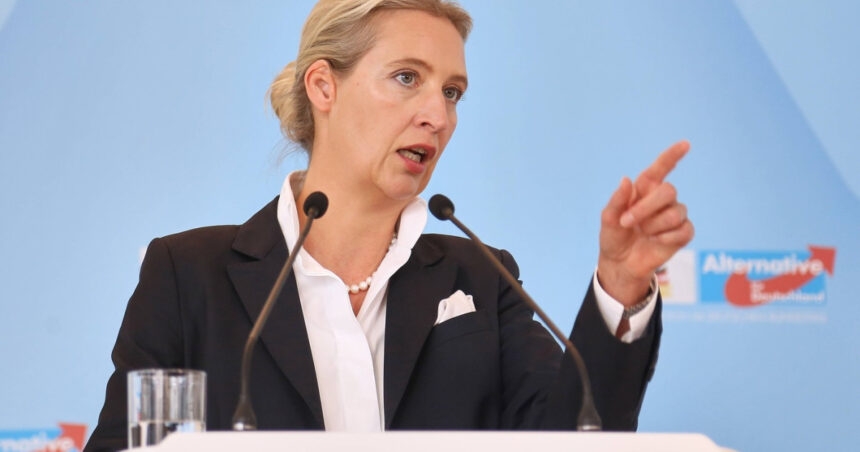 Ascensiunea extremelor: AfD devansează cancelarul Merz în preferințele alegătorilor germani (sondaj) 1 extrema dreapta urca pe primul loc in preferintele germanilor afd inaintea cancelarului merz sondaj 689b7ffbc024c