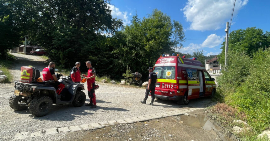 Atenție! Incident alarmant în munții Brașovului: o tânără atacată de câini de stână, sfaturi de la salvamontiști! 1 fata muscata de caini in zona montana din brasov avertismentul salvamontistilor atentie la cainii de stana 6896ca5e1dcca