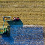 Fermierii solicită autorităților să mențină sprijinul financiar pentru școlile agricole din PNRR 3 fermierii cer guvernului sa nu sisteze finantarea prin pnrr pentru liceele agricole 68aef4ae64141