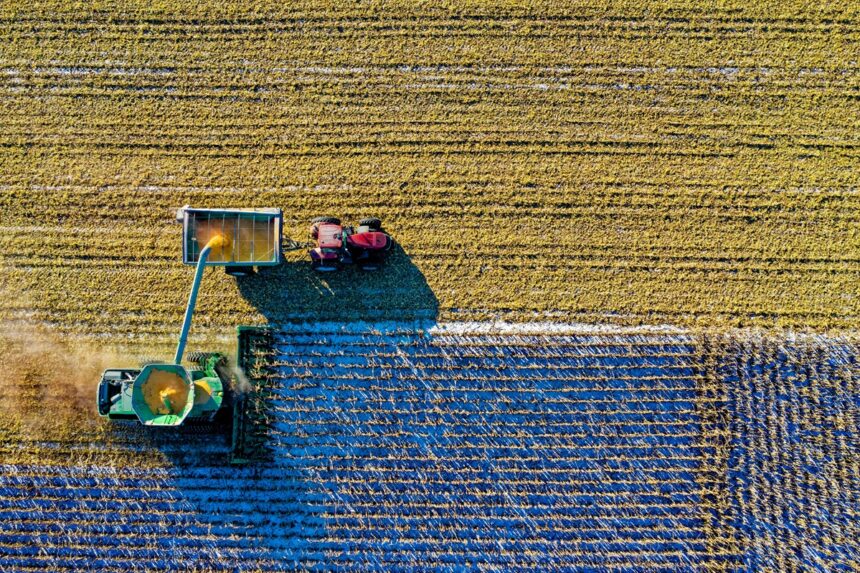 Fermierii solicită autorităților să mențină sprijinul financiar pentru școlile agricole din PNRR 1 fermierii cer guvernului sa nu sisteze finantarea prin pnrr pentru liceele agricole 68aef4ae64141