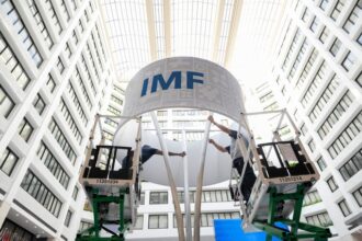 fmi vine in romania 68b084e1c976d