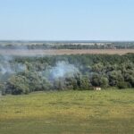 Incendiul devastator din pădurile Chilia Veche, Tulcea, continuă de cinci zile 2 foto de 5 zile arde padurea din zona chilia veche judetul tulcea 6895da154296a