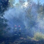 Flăcările din Mahmudia: Vegetația uscată a aprins anexe gospodărești! 2 foto incendiu in localitatea mahmudia extins de la vegetatie uscata la anexe gospodaresti 68a77c6c2ed0e