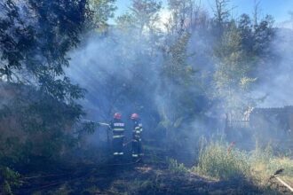 foto incendiu in localitatea mahmudia extins de la vegetatie uscata la anexe gospodaresti 68a77c6c2ed0e
