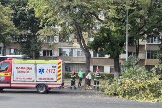 foto la un pas de tragedie pe bulevardul ferdinand din constanta pompierii chemati la fata locului 68a48be91b53c
