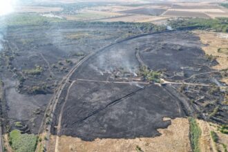foto medgidia focul a mistuit zeci de hectare de vegetatie de la marginea municipiului circulatia a 6 trenuri a fost afectata 68a1fe66e8259