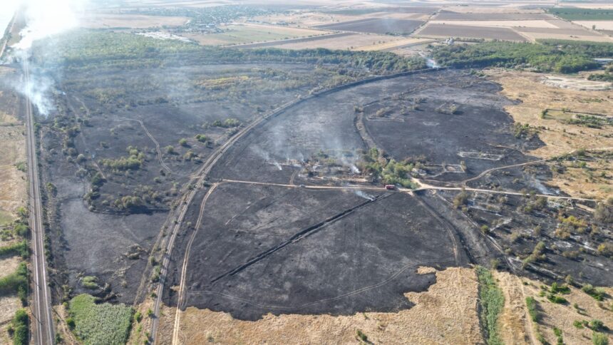 Incendiu devastator în Medgidia: zeci de hectare de vegetație distruse la periferia orașului, iar circulația a șase trenuri a avut de suferit 1 foto medgidia focul a mistuit zeci de hectare de vegetatie de la marginea municipiului circulatia a 6 trenuri a fost afectata 68a1fe66e8259