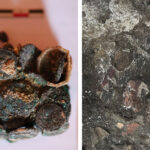 Comoara romană dezvăluită la Histria: Zeci de monede și bijuterii din metale valoroase vor fi restaurate 3 foto tezaur roman descoperit in situl arheologic histria zeci de monede si podoabe din metale pretioase vor fi restaurate 68ac90fc56d8c