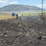 „Un pește salvat de o pasăre de pradă a declanșat un incendiu pe o linie electrică în Canada: „A dorit să guste din peștele pregătit”” 3 foto un peste scapat de o pasare de prada pe o linie de inalta tensiune a provocat un incendiu in canada a vrut sa incerce peste gatit 68943fd1f3313