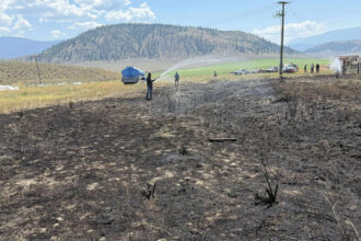 foto un peste scapat de o pasare de prada pe o linie de inalta tensiune a provocat un incendiu in canada a vrut sa incerce peste gatit 68943fd1f3313