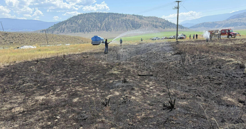 „Un pește salvat de o pasăre de pradă a declanșat un incendiu pe o linie electrică în Canada: „A dorit să guste din peștele pregătit”” 1 foto un peste scapat de o pasare de prada pe o linie de inalta tensiune a provocat un incendiu in canada a vrut sa incerce peste gatit 68943fd1f3313