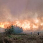 Incendiu devastator în județul Tulcea: flăcări amenință între Murighiol și Mahmudia! Află ultimele noutăți! 2 foto video alerta in judetul tulcea incendiu puternic intre murighiol si mahmudia vezi aici ce se intampla 68a8ab5fe16bb