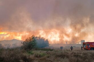foto video alerta in judetul tulcea incendiu puternic intre murighiol si mahmudia vezi aici ce se intampla 68a8ab5fe16bb