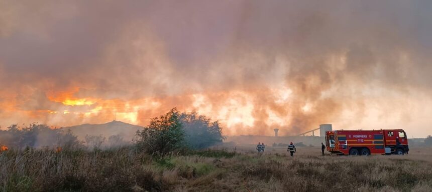 Incendiu devastator în județul Tulcea: flăcări amenință între Murighiol și Mahmudia! Află ultimele noutăți! 1 foto video alerta in judetul tulcea incendiu puternic intre murighiol si mahmudia vezi aici ce se intampla 68a8ab5fe16bb