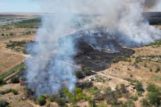 foto video incendiu violent de vegetatie la medgidia pompierii intervin cu 9 autospeciale 68a1cbf45a0cc