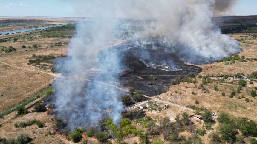 Flăcări devastatoare în Medgidia: Pompierii mobilizează 9 echipaje pentru stingerea incendiului de vegetație 1 foto video incendiu violent de vegetatie la medgidia pompierii intervin cu 9 autospeciale 68a1cbf45a0cc