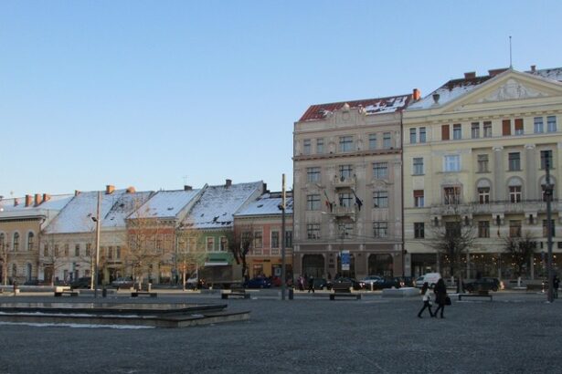 fumatul interzis in unele spatii publice din cluj napoca cat sunt amenzile 689ca8d30b99a