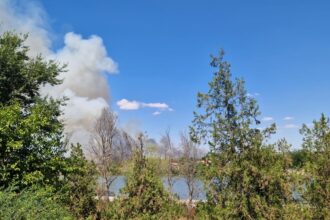 galerie fotovideo update numarul autospecialelor de stingere suplimentat incendiu violent de vegetatie uscata la medgidia 68a1be45ca322